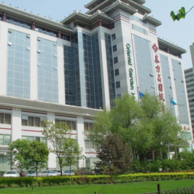 北京鲁发控股有限公司